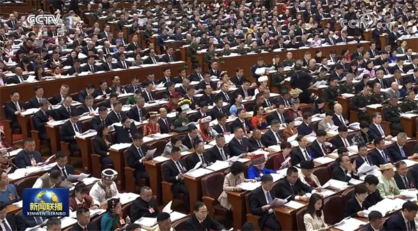 1773196497633297.jpg 2.jpg