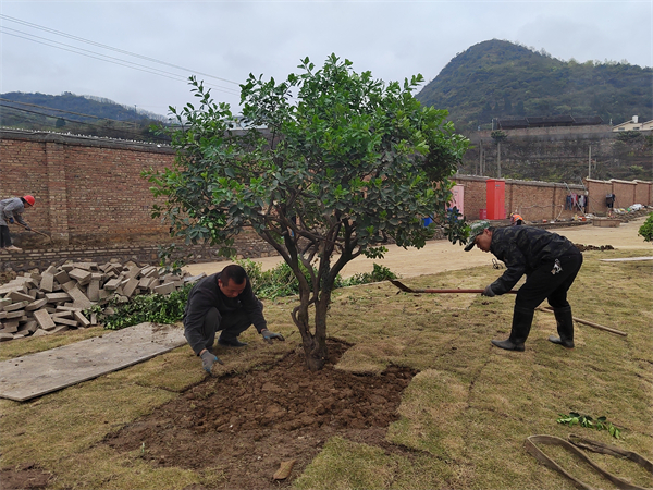 1773387571420201.jpg 1.jpg