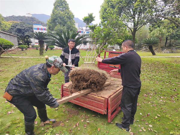 1773387575997417.jpg 2.jpg